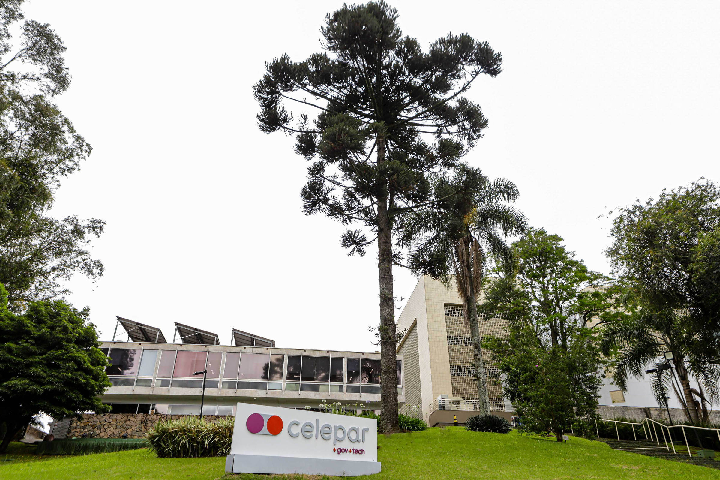 Painel S.A.: TCE do Paraná pede que Secretaria de Segurança explique contrato de R$ 438,7 milhões